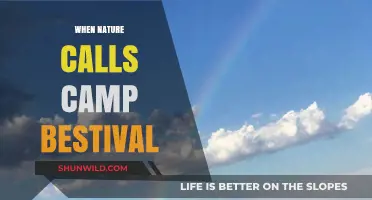 Embracing the Great Outdoors: Camp Bestival's Nature-Fueled Adventure