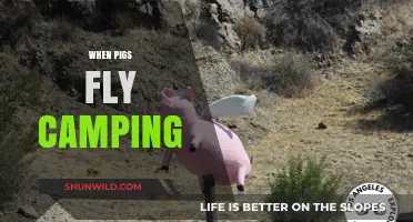 When Pigs Fly Camping: A Whimsical Guide to the Impossible Outdoors