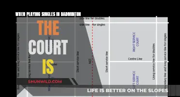 Badminton Singles: Understanding the Court Layout