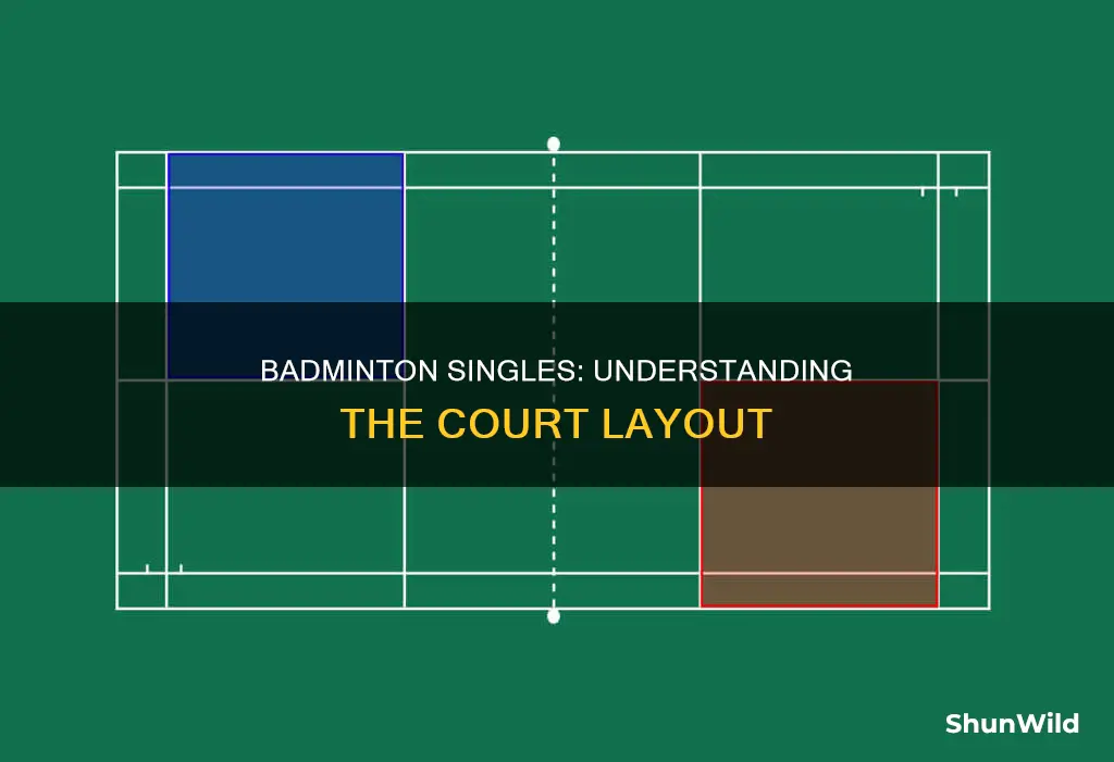 when playing singles in badminton the court is