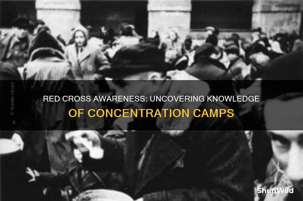 when red cross knew about the concentration camps