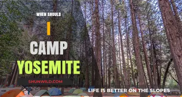 Best Time to Camp Yosemite: A Seasonal Guide