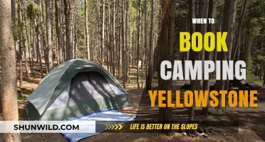 Best Time to Book Your Yellowstone Camping Adventure