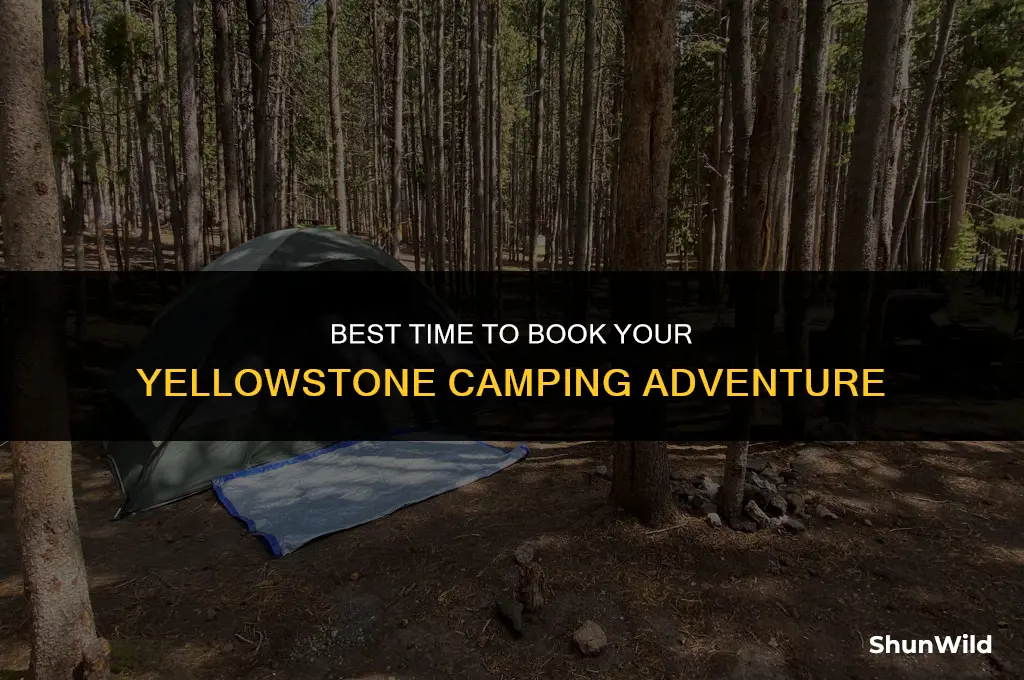 when to book camping yellowstone