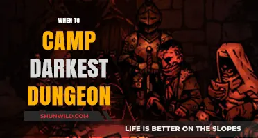 Mastering the Depths: Optimal Camping Strategies for Darkest Dungeon