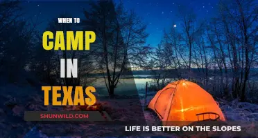 Best Time to Camp in Texas: A Seasonal Guide
