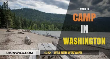 Best Time to Camp in Washington: A Seasonal Guide