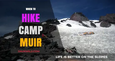 Best Time to Hike Camp Muir: A Seasonal Guide