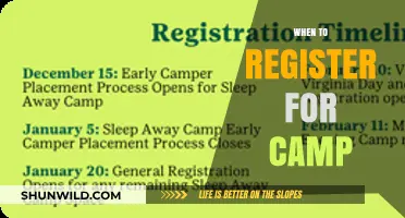Secure Your Spot: The Ideal Time to Register for Summer Camp