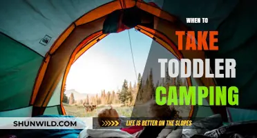 Nature's Calling: The Perfect Age to Introduce Your Toddler to Camping