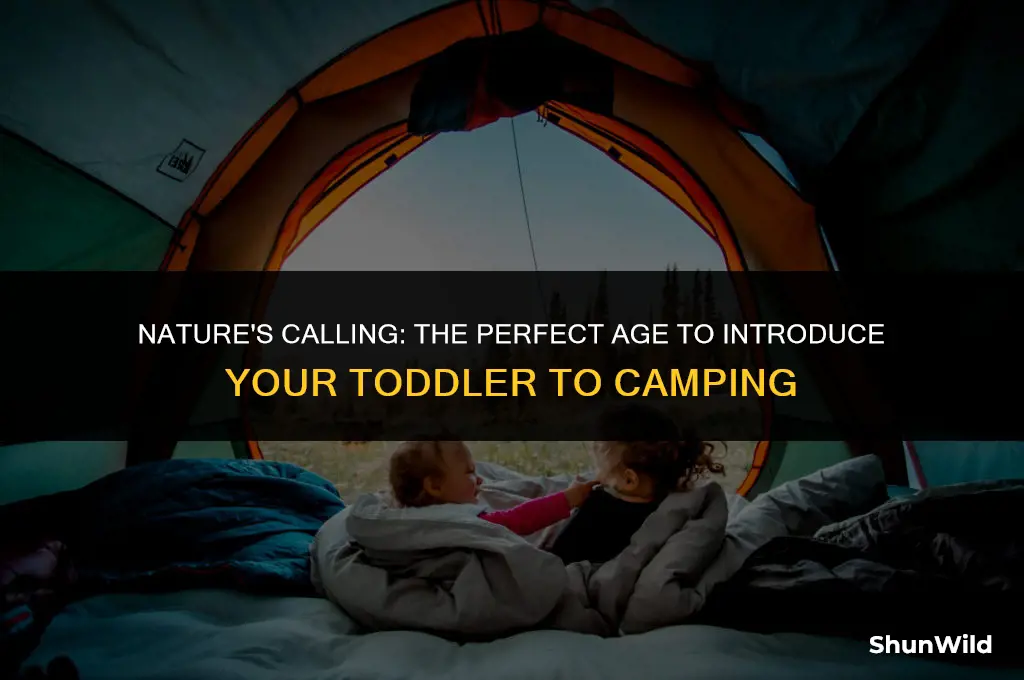 when to take toddler camping