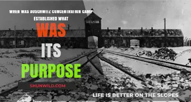 Auschwitz Concentration Camp: Origins, Purpose, and Historical Significance