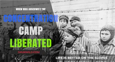 Auschwitz Liberation: The Day Allied Forces Freed the Concentration Camp