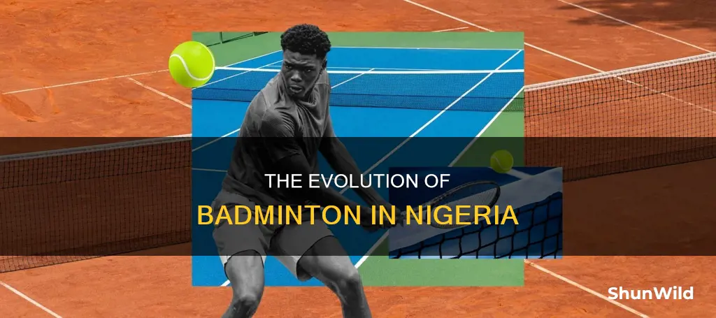 when was badminton federation of nigeria formed