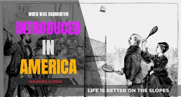 Badminton's Introduction to America: A Historical Perspective
