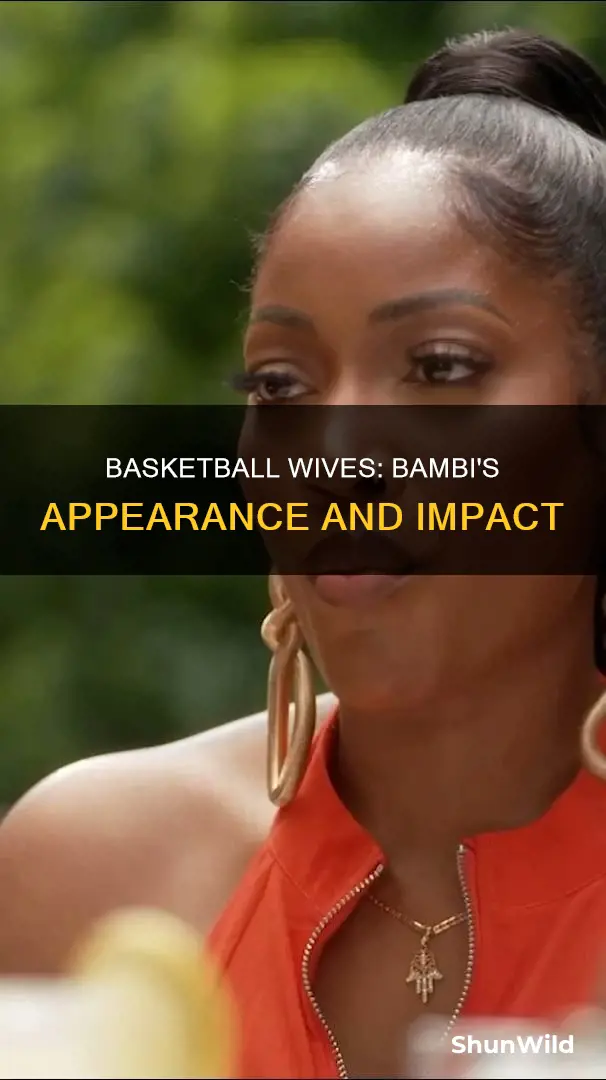 when was bambi on basketball wives