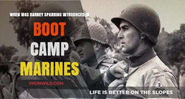Barney Sparring: Origins in Marine Boot Camp Training
