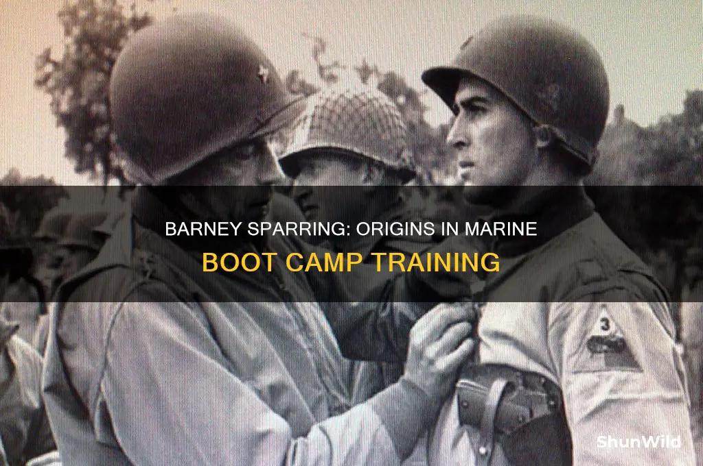 when was barney sparring introduced in boot camp marines