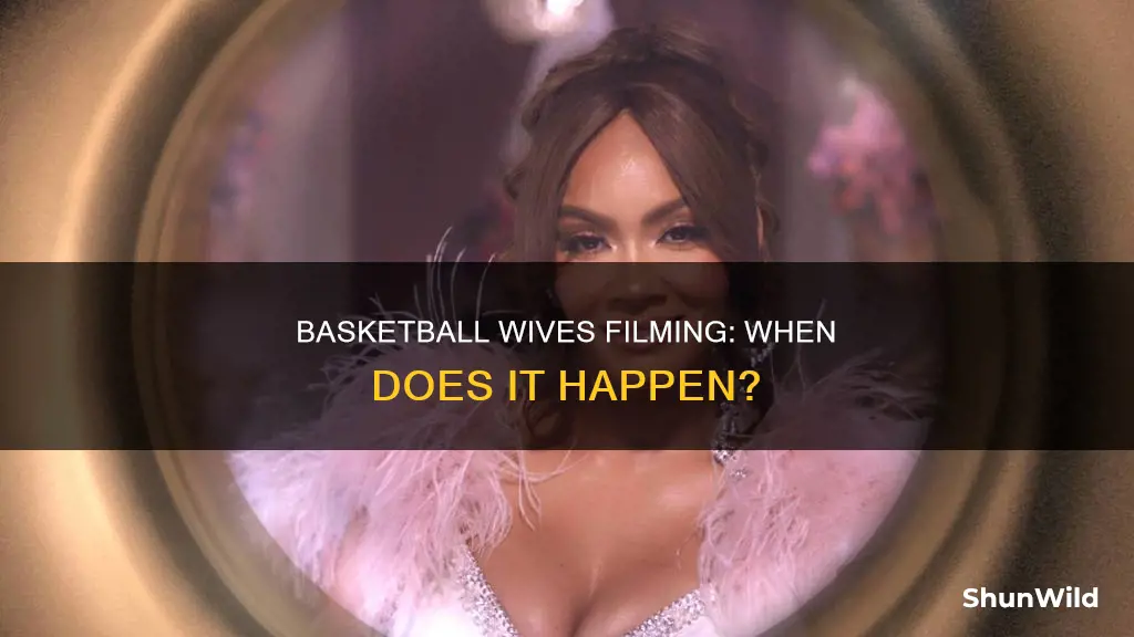 when was basketball wives filmed
