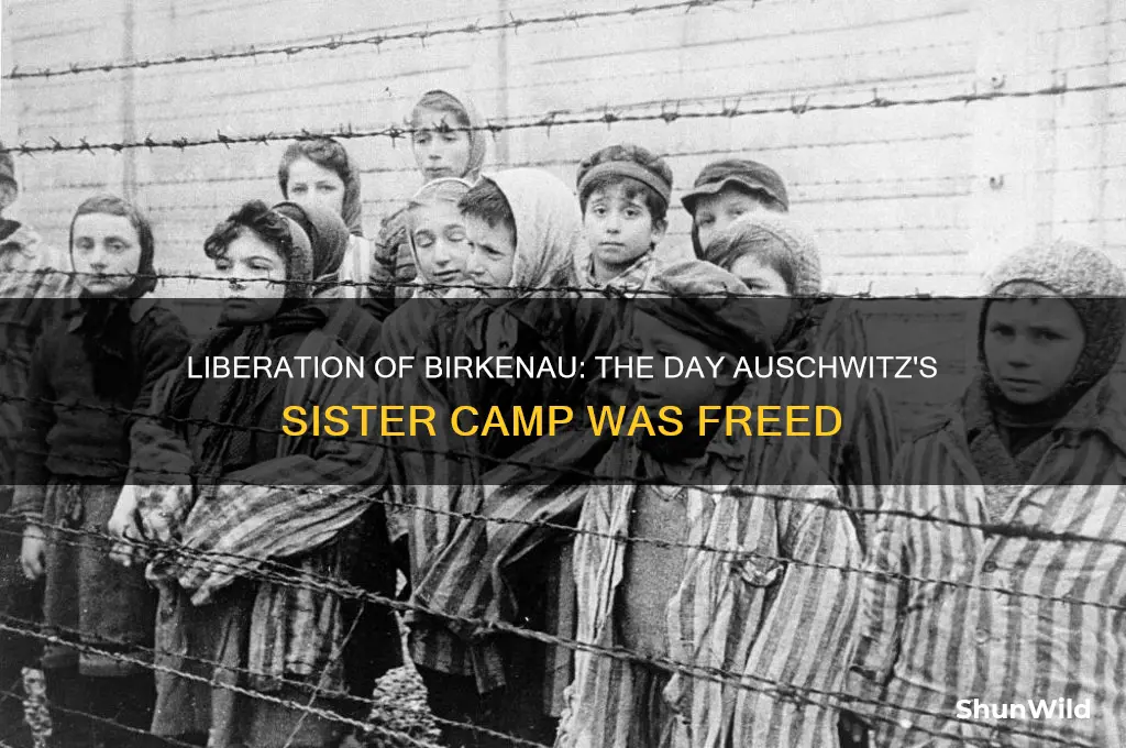 when was birkenau concentration camp liberated