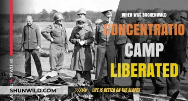 Buchenwald's Liberation: The Day Allied Forces Freed Survivors
