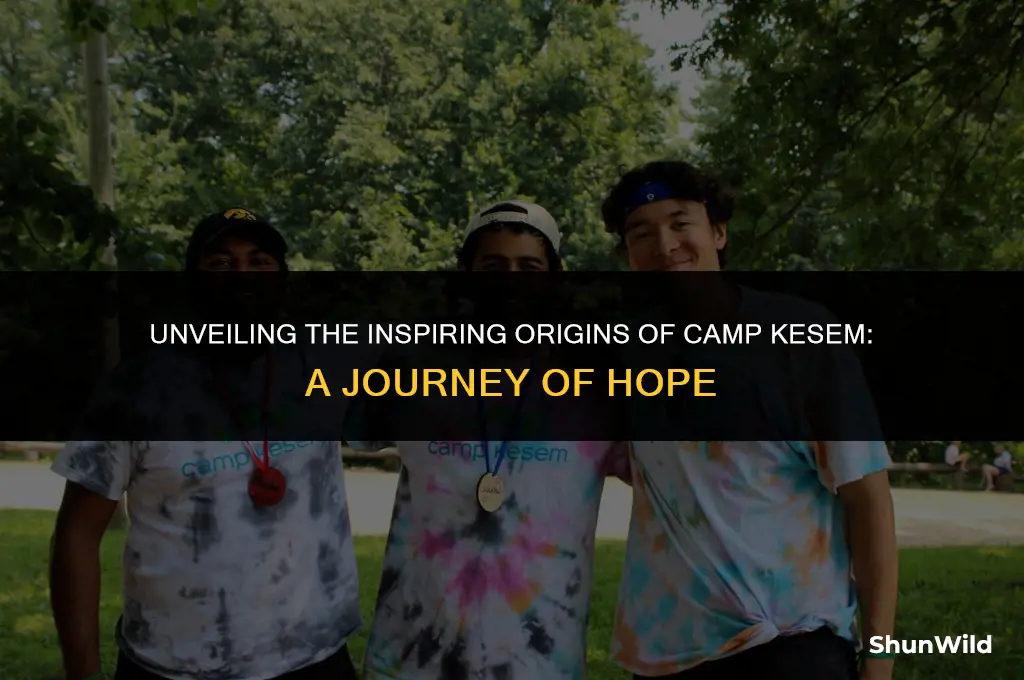 when was camp kesem founded
