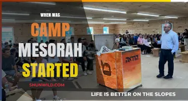 Unveiling the Origins: A Glimpse into Camp Mesorah's Inception