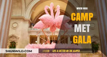 Unveiling the Glamorous History of Camp Met Gala Events