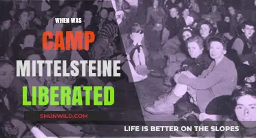 Liberation of Camp Mittelsteine: A Historical Turning Point