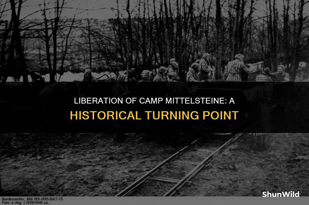 when was camp mittelsteine liberated