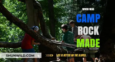 Camp Rock's Creation: Unveiling the Year Behind the Musical Phenomenon