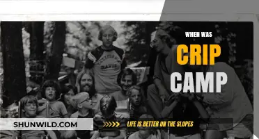 Unveiling the Origins: A Deep Dive into Crip Camp's History