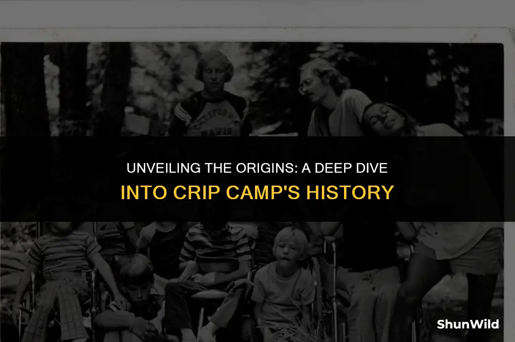 when was crip camp