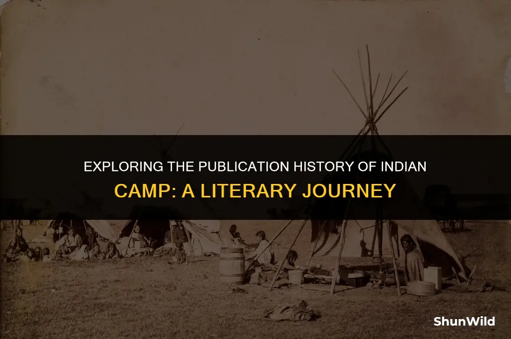 when was indian camp published