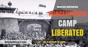 Liberation of Mauthausen: The Day Freedom Returned to Survivors