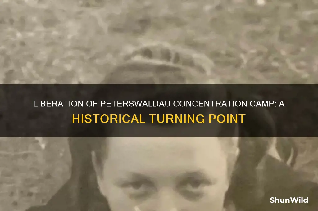 when was peterswaldau concentration camp liberated