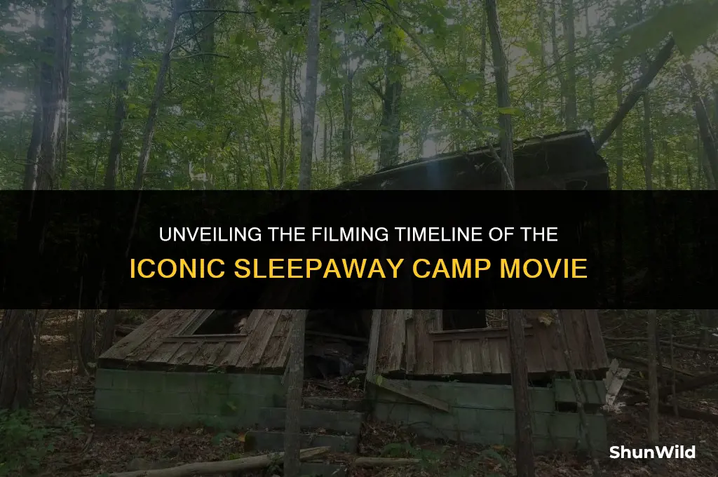 when was sleepaway camp filmed