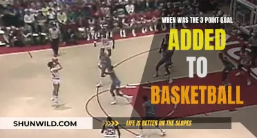The Evolution of Basketball: The 3-Point Revolution