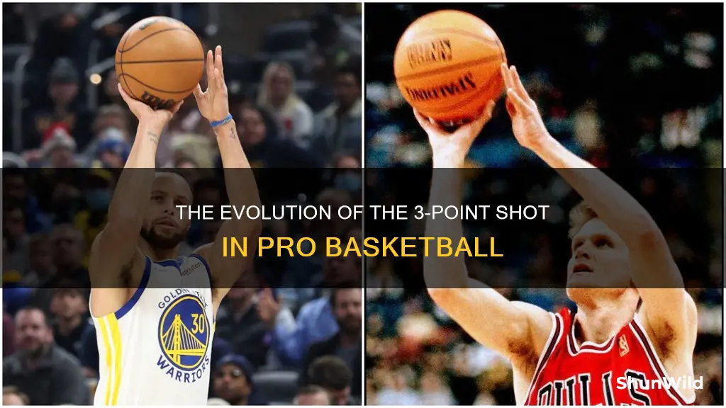 when was the 3 point shot started in pto basketball