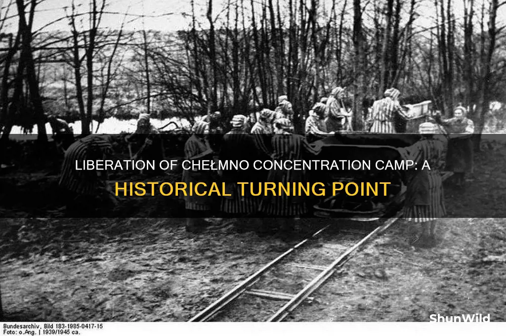 when was the concentration camp chelmno liberated