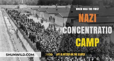 The Origins of Nazi Concentration Camps: A Historical Timeline