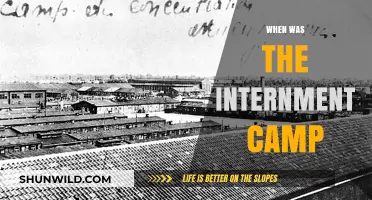 Unveiling the Dark Past: A Timeline of Internment Camps