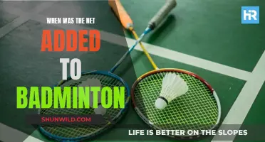 The Evolution of Badminton: Net's Entry