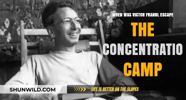 Victor Frankl's Escape: Surviving the Concentration Camp and Finding Hope