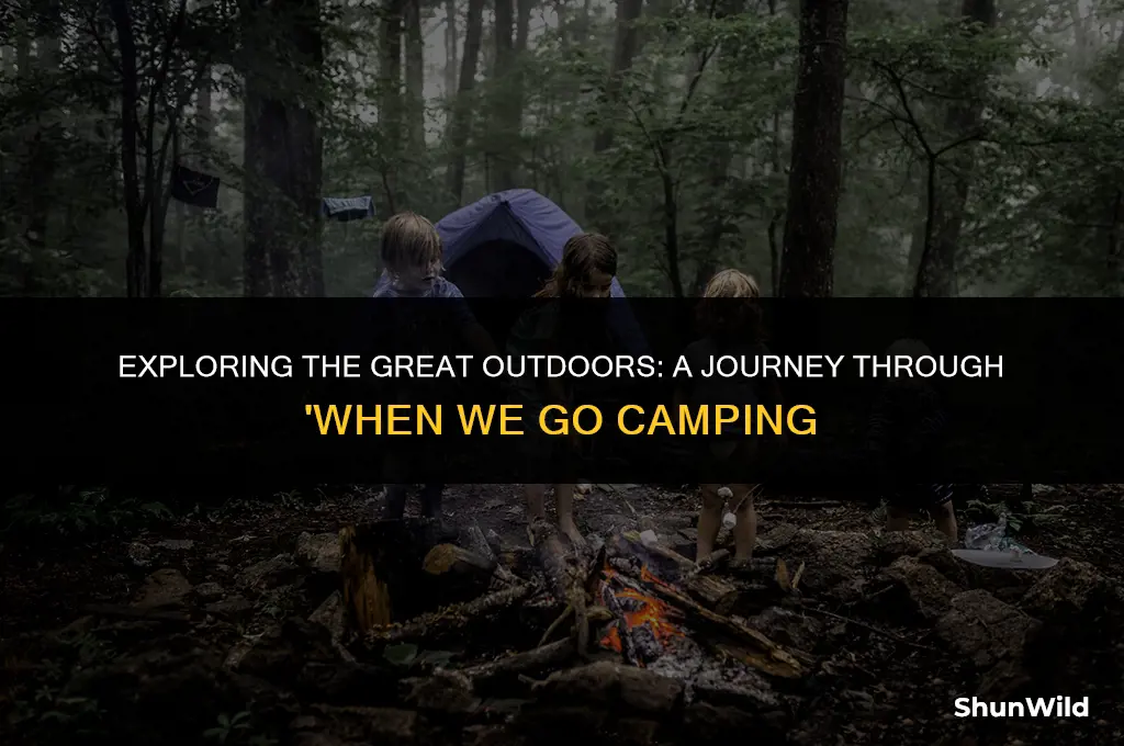 when we go camping book