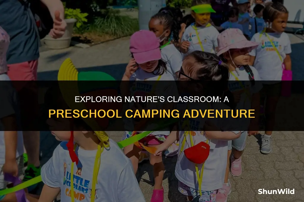 when we go camping preschool