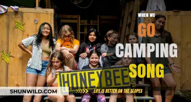 Melodies of the Wilderness: Unpacking the 'When We Go Camping' Anthem