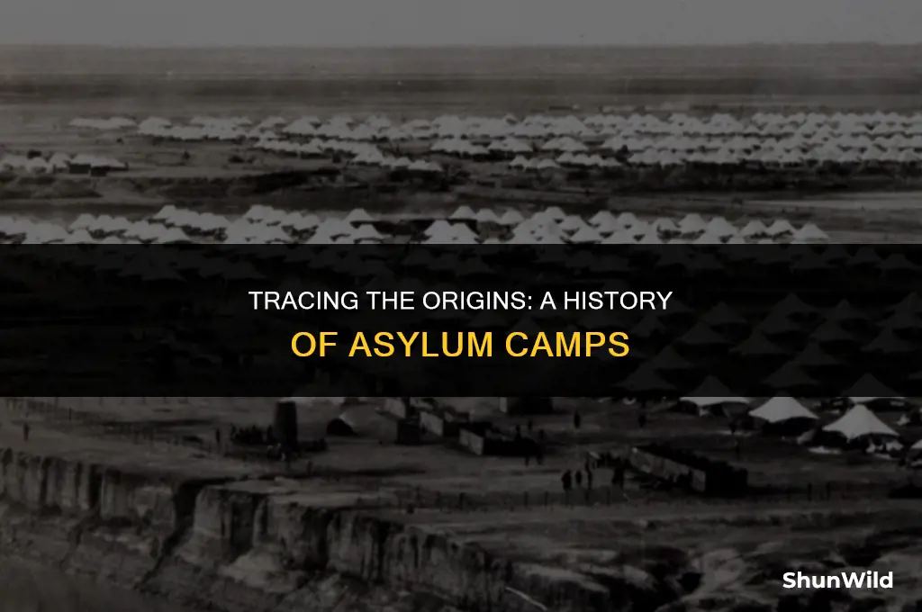 when were asylums camps started