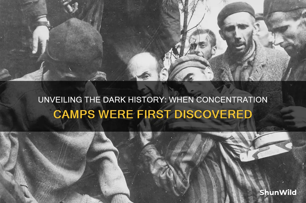 when were concentration camps first discovered
