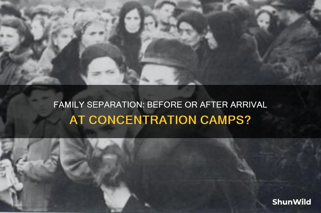 when were families separated before or after arrival concentration camps